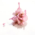 Studio Tipix Solution: Tu Aliado para Fotografiar Productos Innovadores