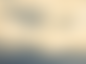 伊豆リトリート<自然のダイナミズムに触れ、自分と再会する>