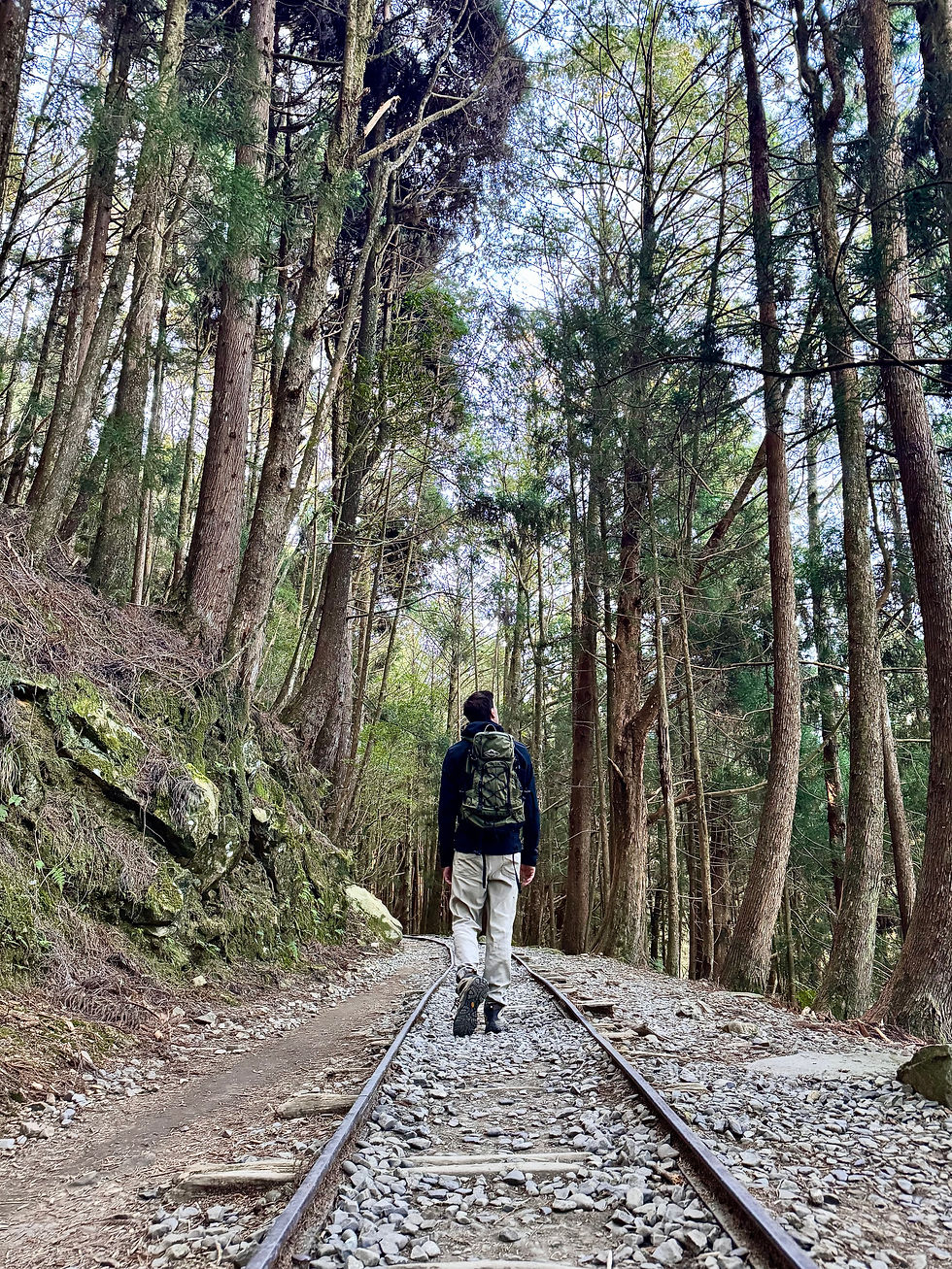Man walking along a railway track in the forest