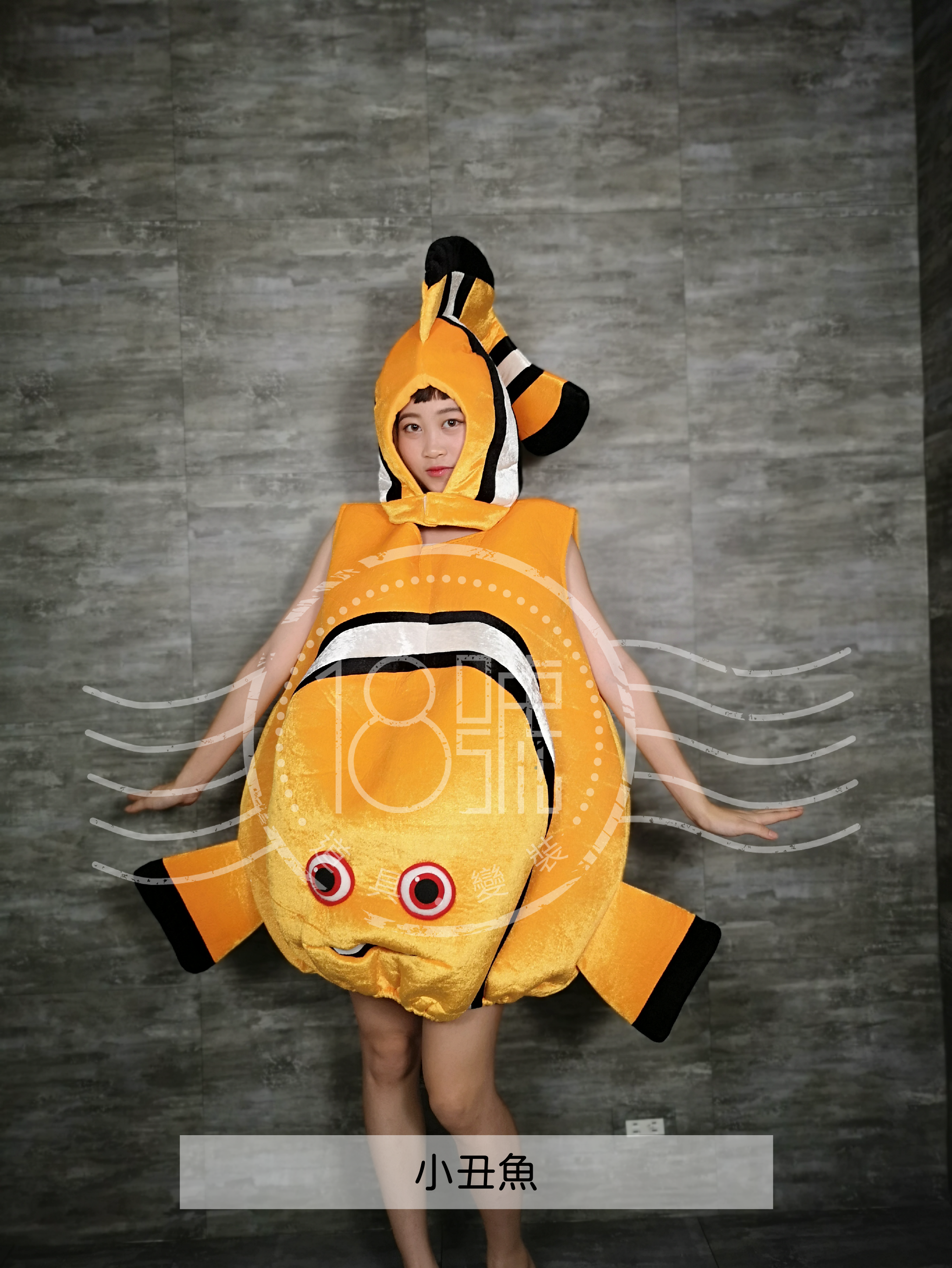 海底總動員-小丑魚