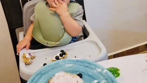 Hudson Update: November 2025