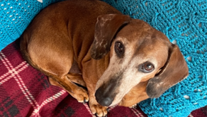 Hudson February 2025 Update