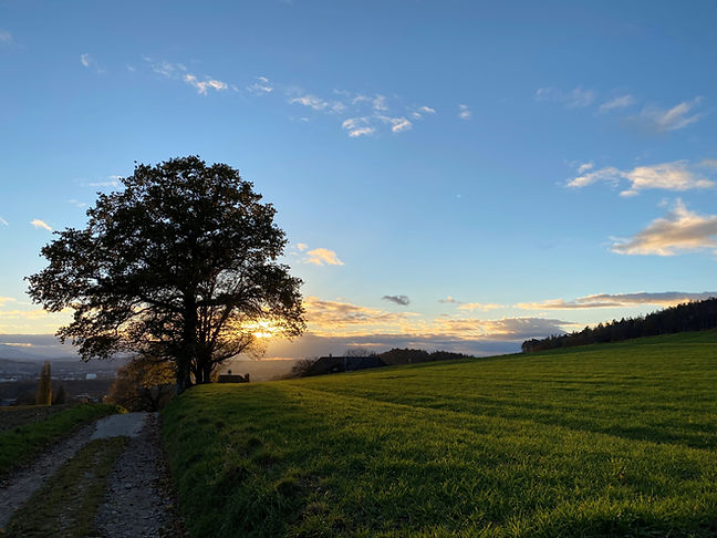 Sonnenuntergang.jpg