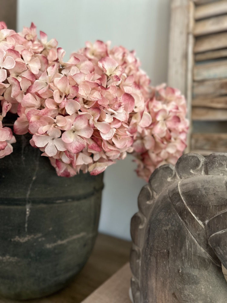 Thumbnail: Hortensia - Pastelroze 