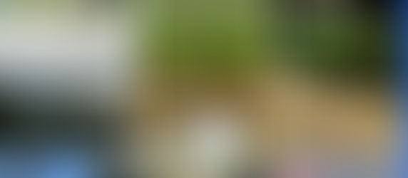 Bols chantants en nature: les dates jusqu'à l'été. Rejoignez-nous, inscrivez-vous pour ces moments où vous lâchez tout, sauf vous!