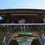 Thumbnail: DISCO 2 PARCEL TRAY