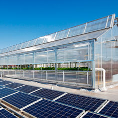 Greenhouses