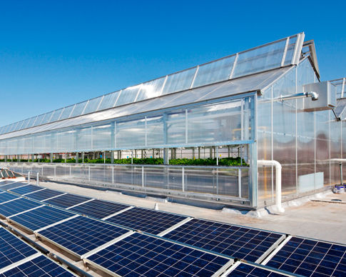 Greenhouses