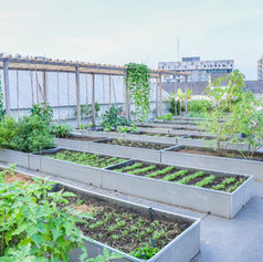 Outdoor Green Roofs