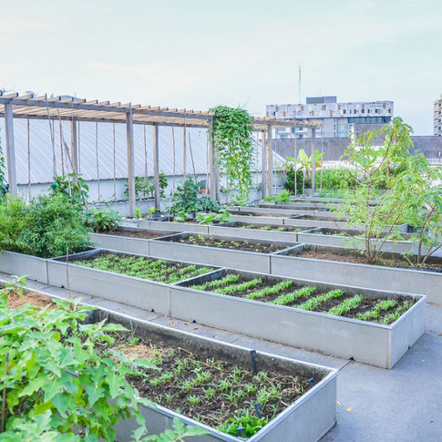 Outdoor Green Roofs