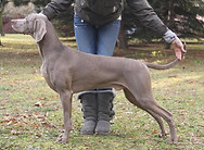 med_6f1bd9e211f21e10be1588cb3155cabd.jpg