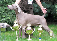 208-1029-1346-K-Weim.jpg