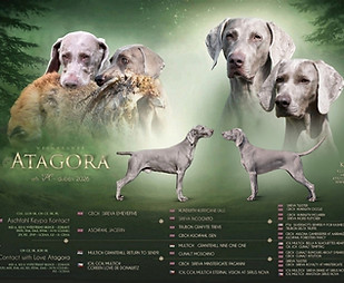 Atagora vrh M - letáček 1.jpg