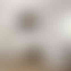 Livingroom with framed picture on the wall of woman