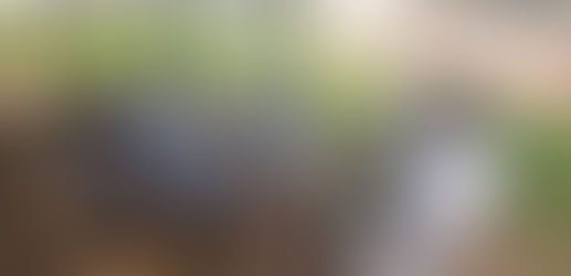 Forældreforeninger og skoleledelse er begyndt at holde deres egne møder