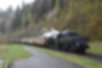 CAF60630-VVT 52 221 spécial 3116 VER-TR
