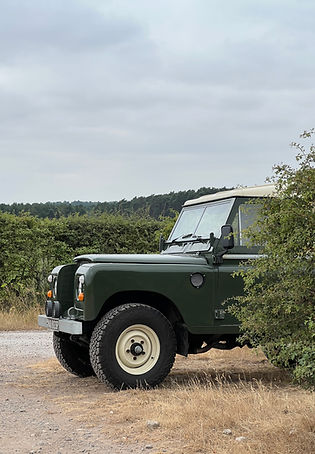 Land Rover Series Three behind a hedge