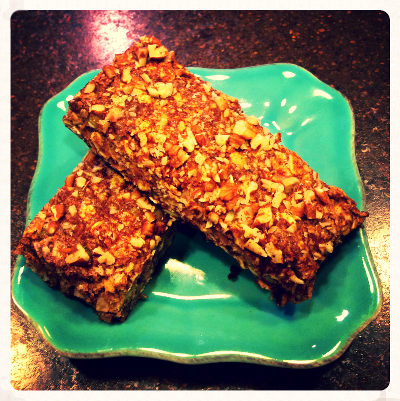 Pecan Pumpkin Spice Protein Bars