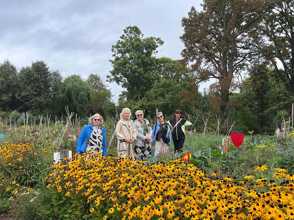 School garden in Park Frankendael in Amsterdam