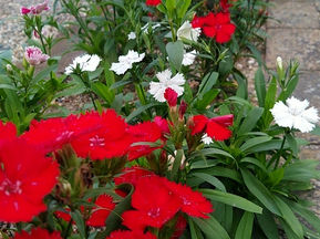 道端にぬくもりを感じる町内