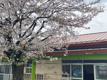 いよいよ明日は‼️