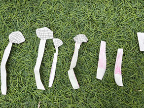 幼稚園でライブ⁉️