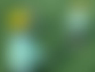 縄跳び🤸🏻♀️♩