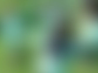 かごめかごめ✨