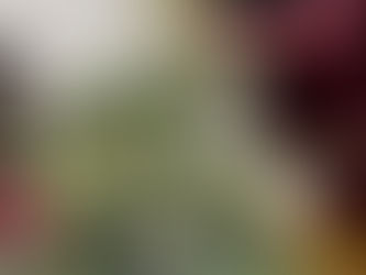 今日は何の日だ?!