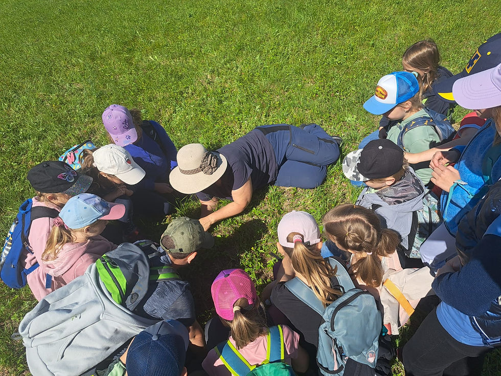 Biodiversitäts-Exkursion zum Heumesserhof