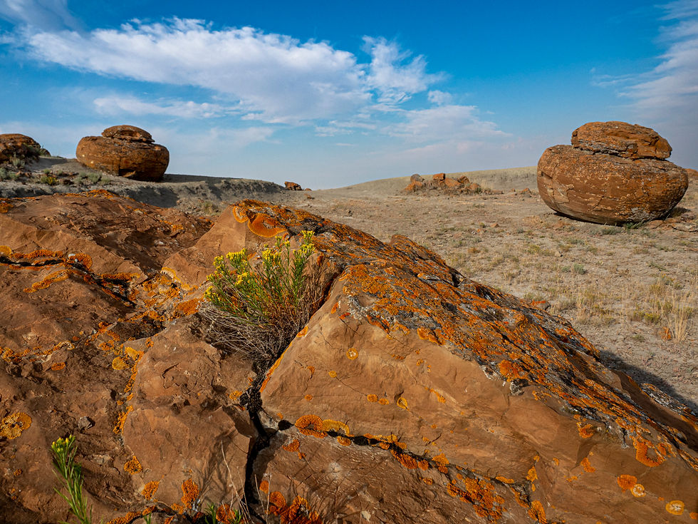 Red Rock Coulee, AB Aug 13