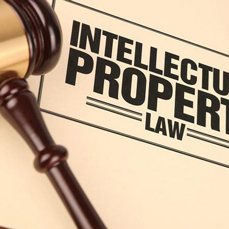 INTELLECTUAL PROPERTY RIGHTS