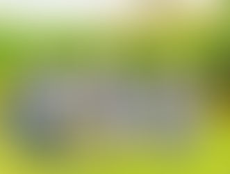  Vibrant Salesian Spirituality - A lovely letter from Rome