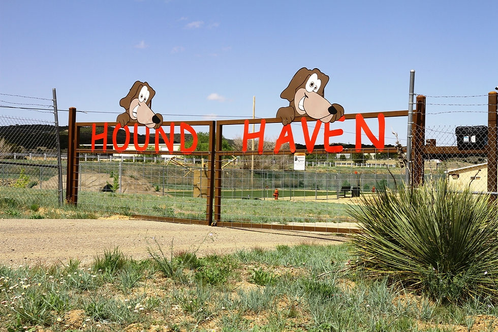 Hound Haven