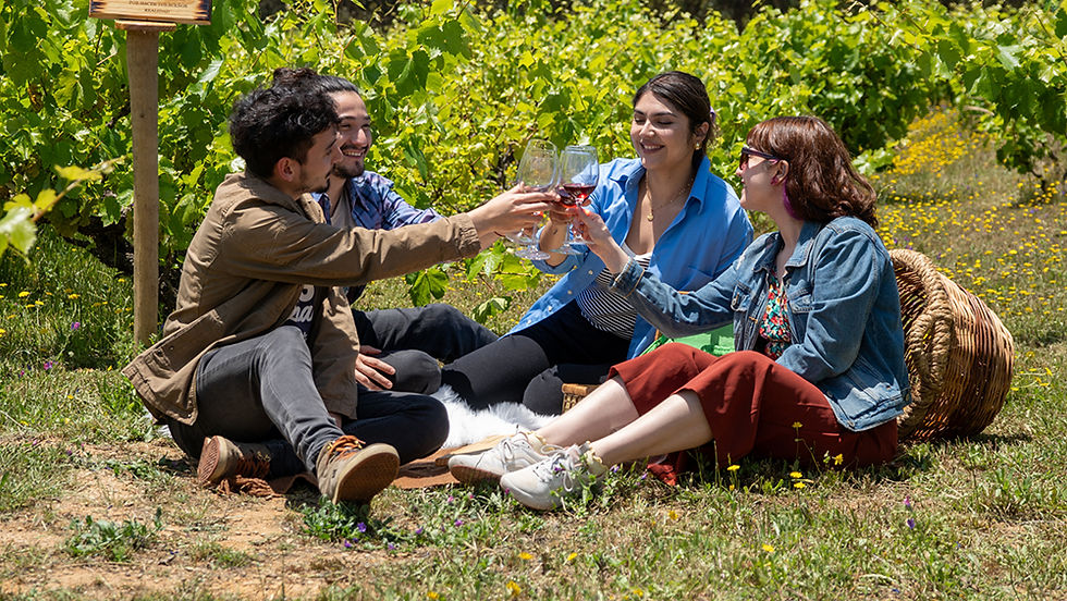 Raíz de Fuego: vino, agua y radiestesia en Lolol