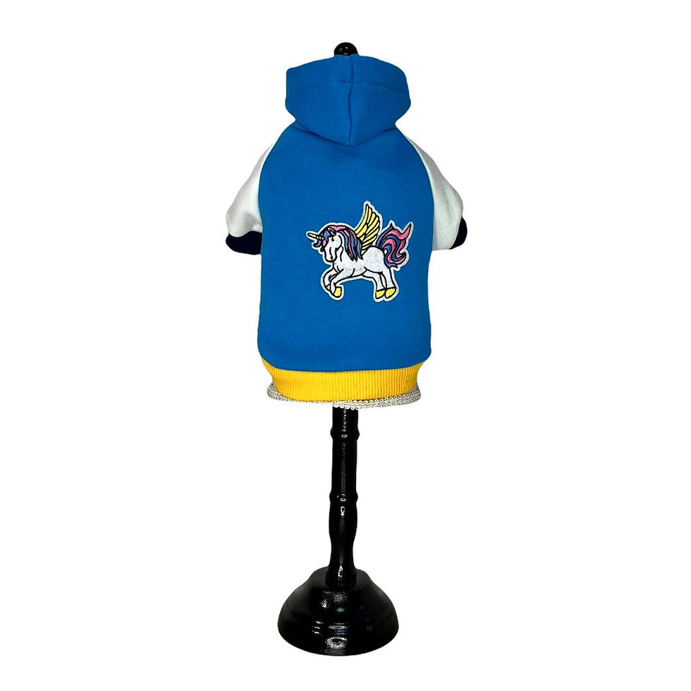 ლურჯი ჰუდი - Unicorn