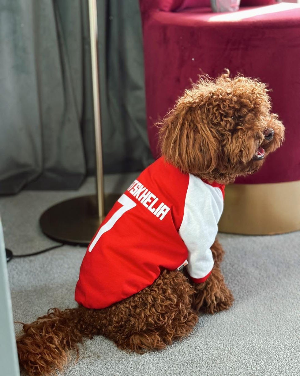 ნაკრების მაისური - KVARA