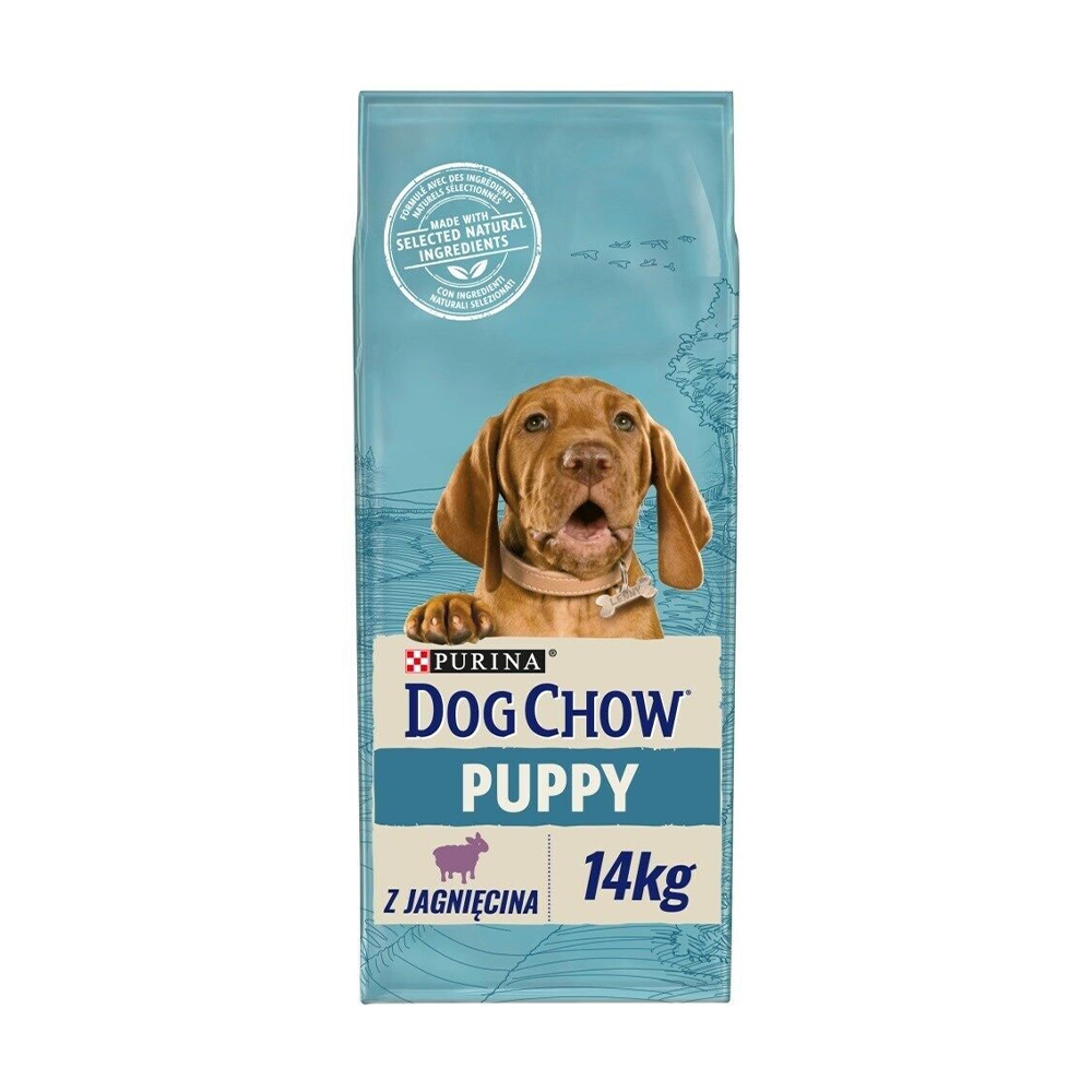 დოგ ჩაუ ლეკვი ბატკნის