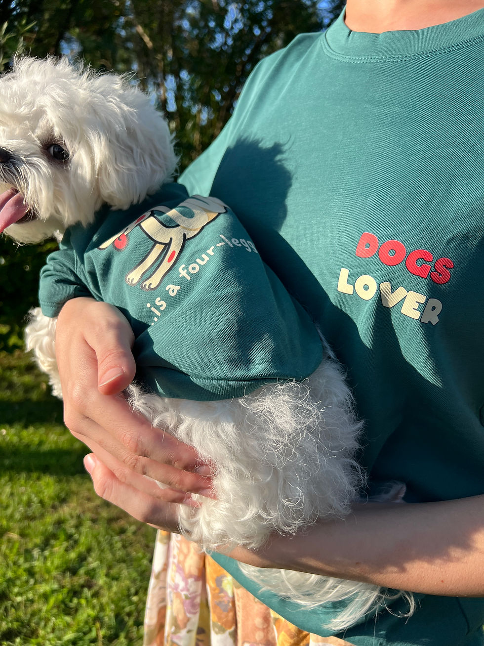 Thumbnail: ძაღლის მწვანე მაისური