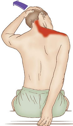upper_trap_seated_stretch5.jpg