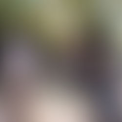 【年少組】秋の遠足