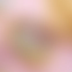 【年少組】はじめてのおべんとう