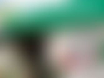 Eleitores vão às urnas escolher novos conselheiros tutelares