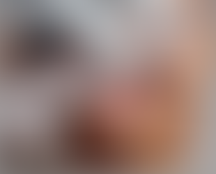 PROGRAMA BRASIL SORRIDENTE ESTÁ DE VOLTA