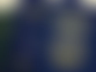 Governo dos EUA que seus consulados e embaixadas no Brasil dispensem a entrevista presencial