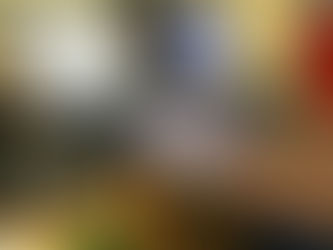 A POLÍCIA FEDERAL APERTA O CERCO CONTRA A PORNOGRAFIA INFANTIL. 