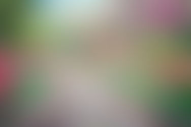 Primavera mais quente e seca