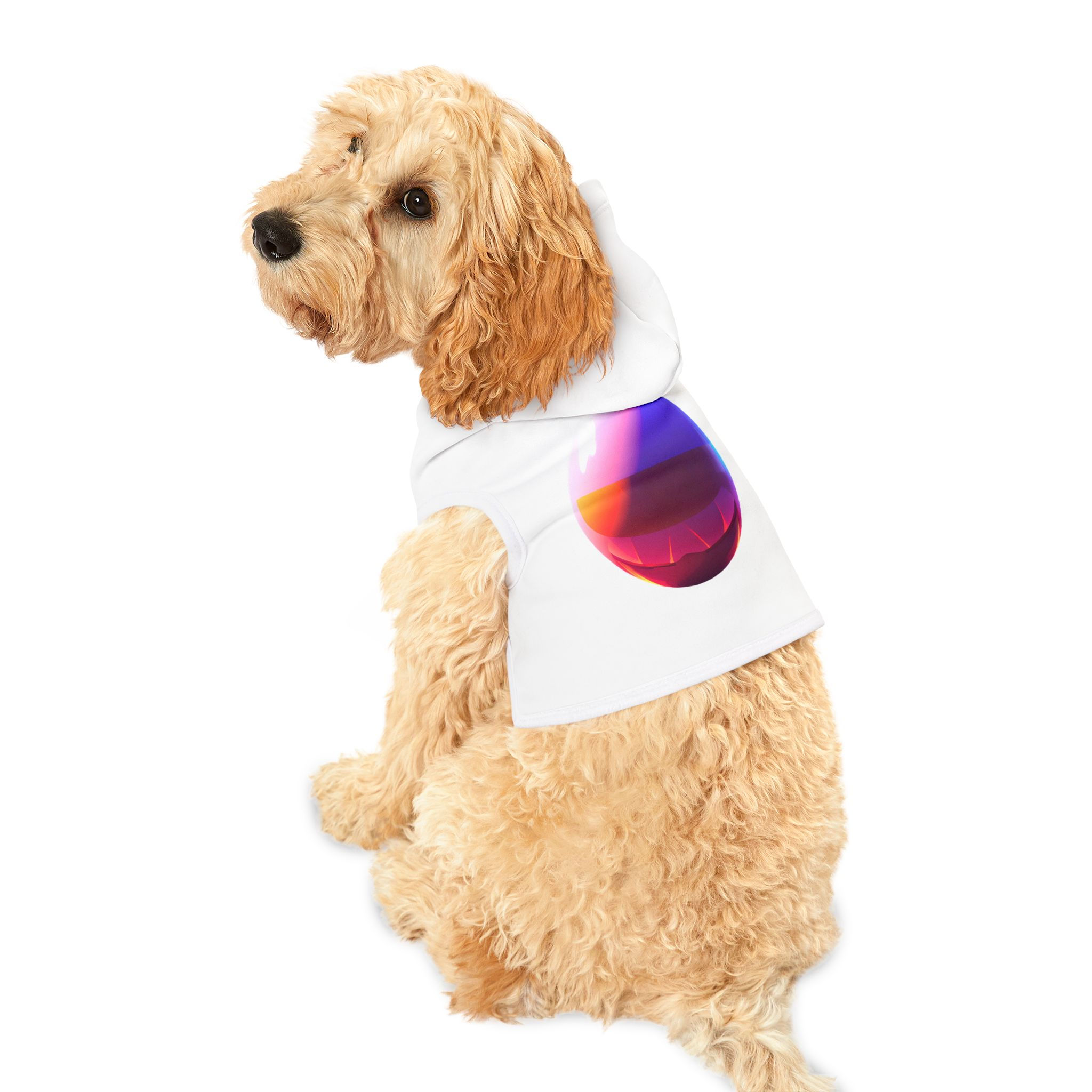 Accessories : Pet: Hoodie — Colorful Gradient Egg Print Dog & Cat Hoodie