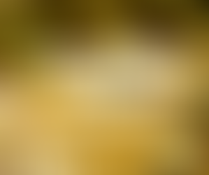 Tipos de Massas e como preparar espaguete