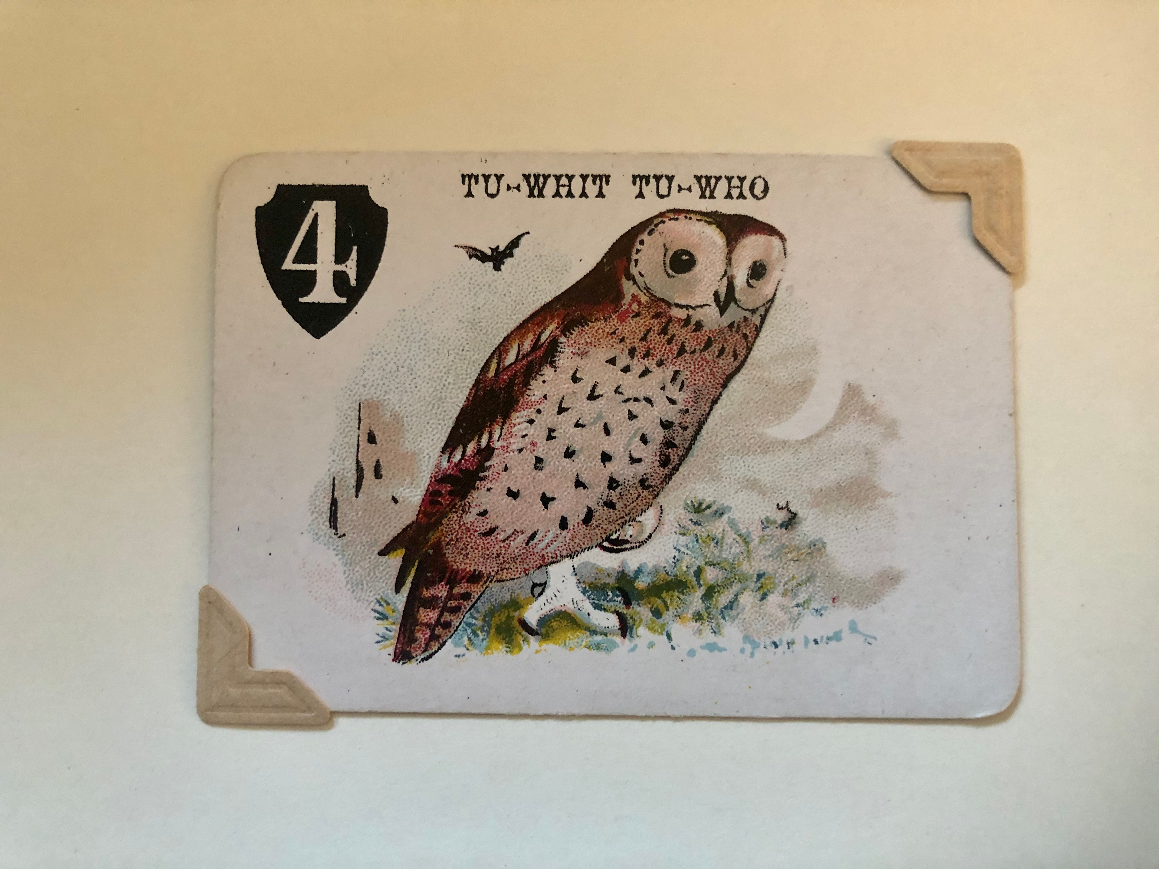 Owl Victorian Greetings Card